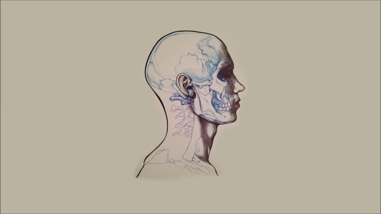 Cage The Elephant - Cold Cold Cold - Lyrics