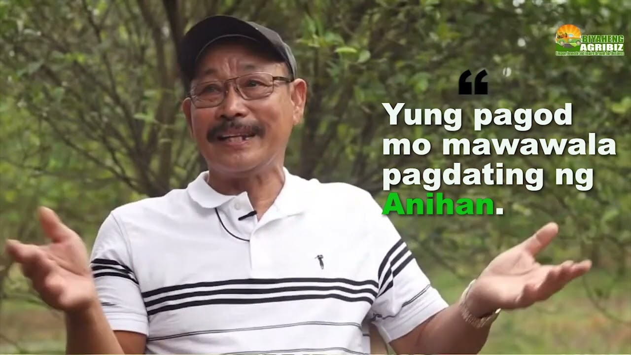 THREE OFWs ENGAGE IN FARMING, PINOY FARMERS SUCCESS STORY