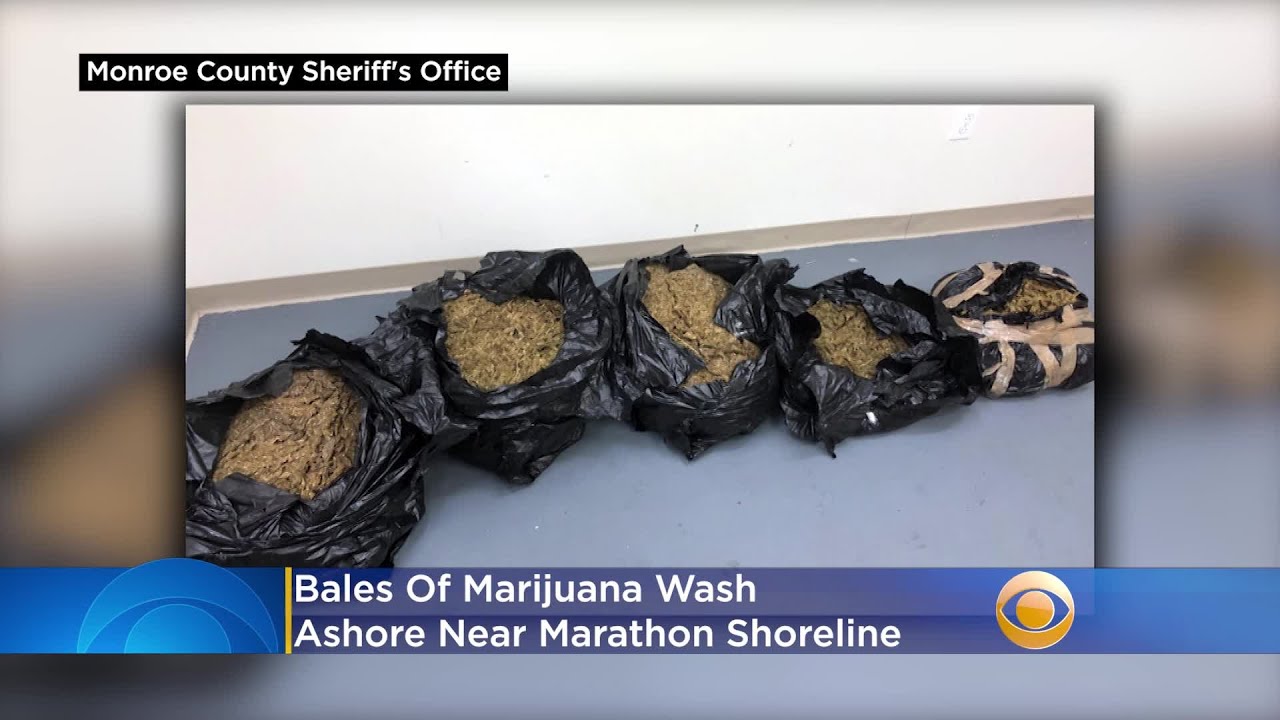 Bales Of Marijuana Wash Ashore In Marathon
