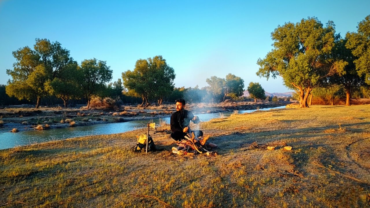جنگلی سیل زده وسط کویر..!!پس از چند روز باران شدید| A Forest That Shouldn’t Exist in the Desert