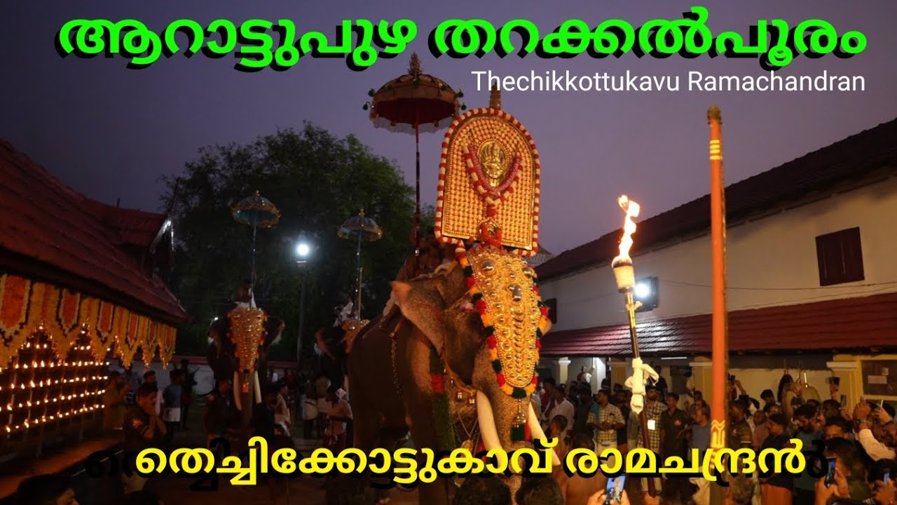 തറക്കൽ പൂരത്തിന് ആറാട്ടുപുഴ ശാസ്താവിനെ ശിരസ്സിലേറ്റി തെച്ചിക്കോട്ടുകാവ് രാമചന്ദ്രൻ #arattupuzha
