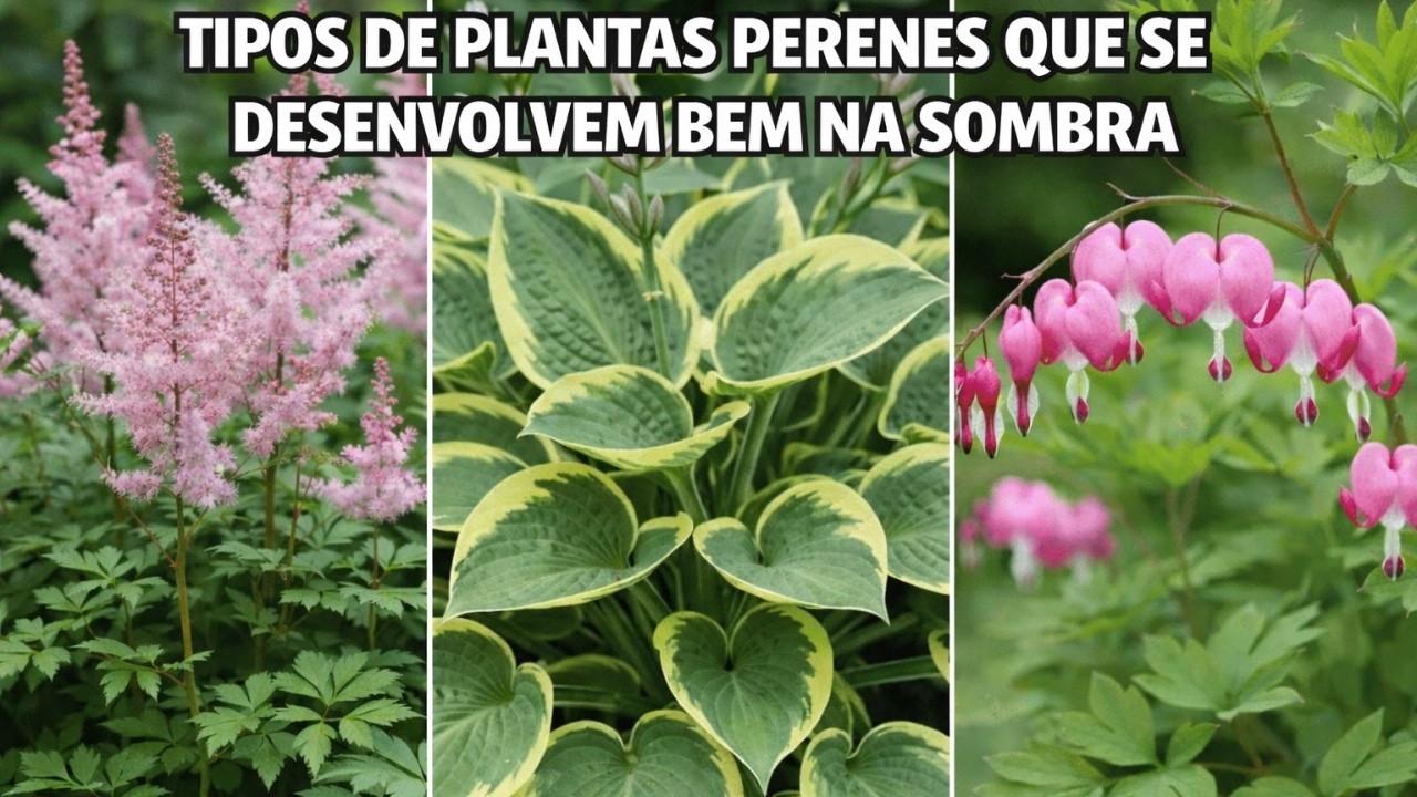 7 Plantas Perenes Amantes da Sombra Que Florescem Sem Parar 🌸 (Essenciais Para Todo Jardim!)