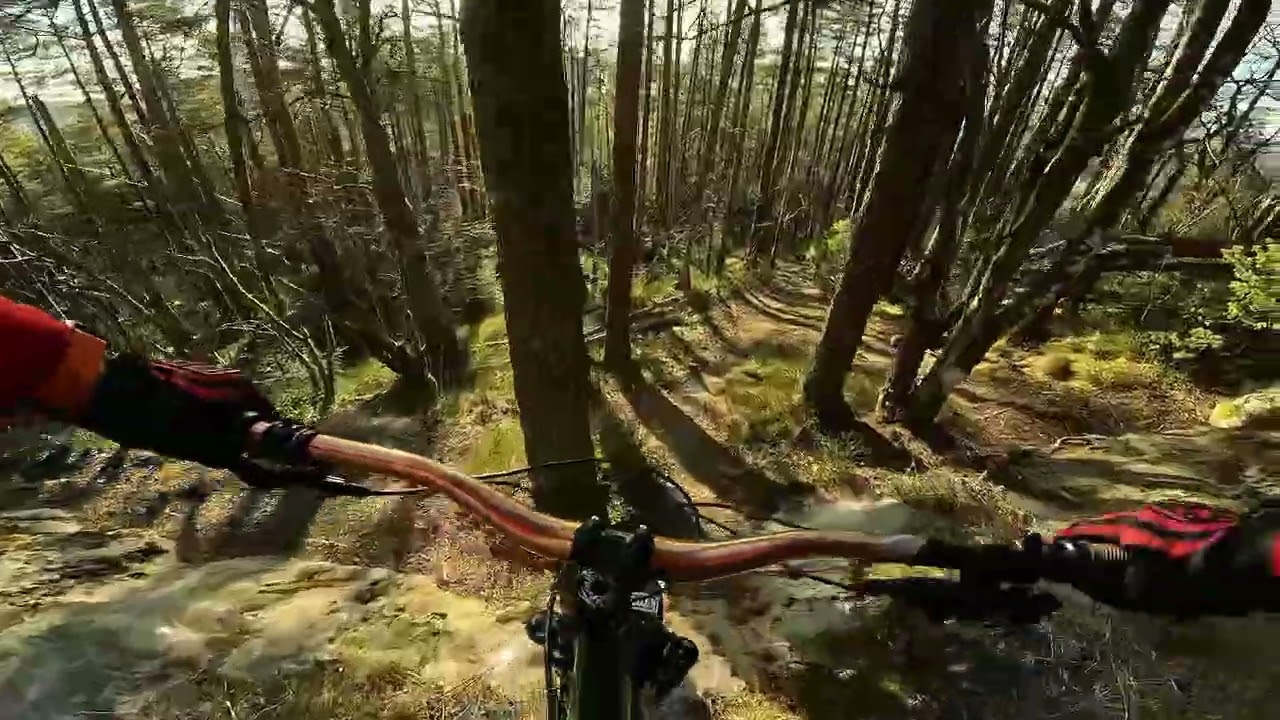 MTB winter riding with catastrophic first day
