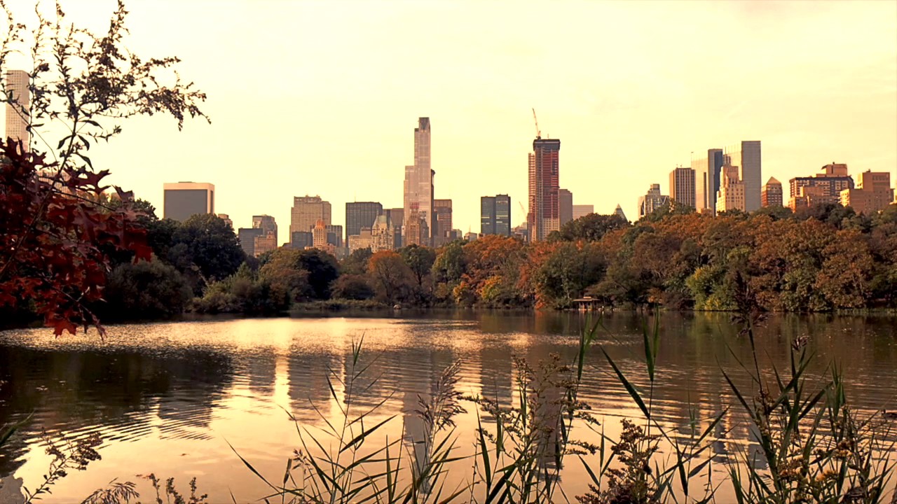 An Original Napflix Video Content - Central Park