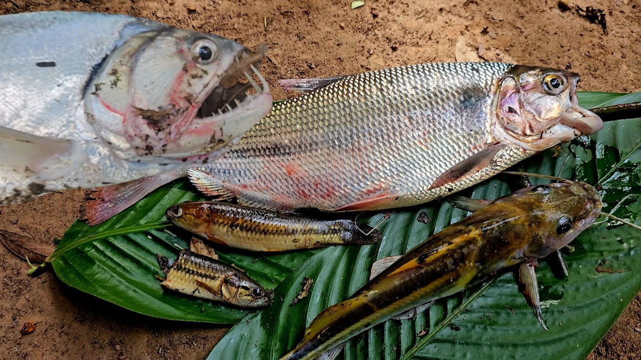 Pesca y paisajes de la finca