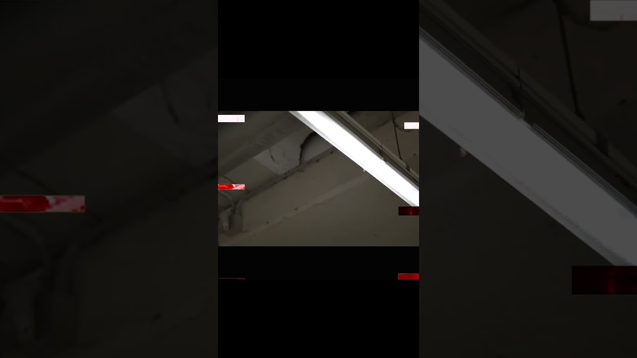 KORWIN P56  NIE TRAĆ NADZIEI FEAT DDK P56 MUZYKA CZAHA NOWOŚĆ C D N