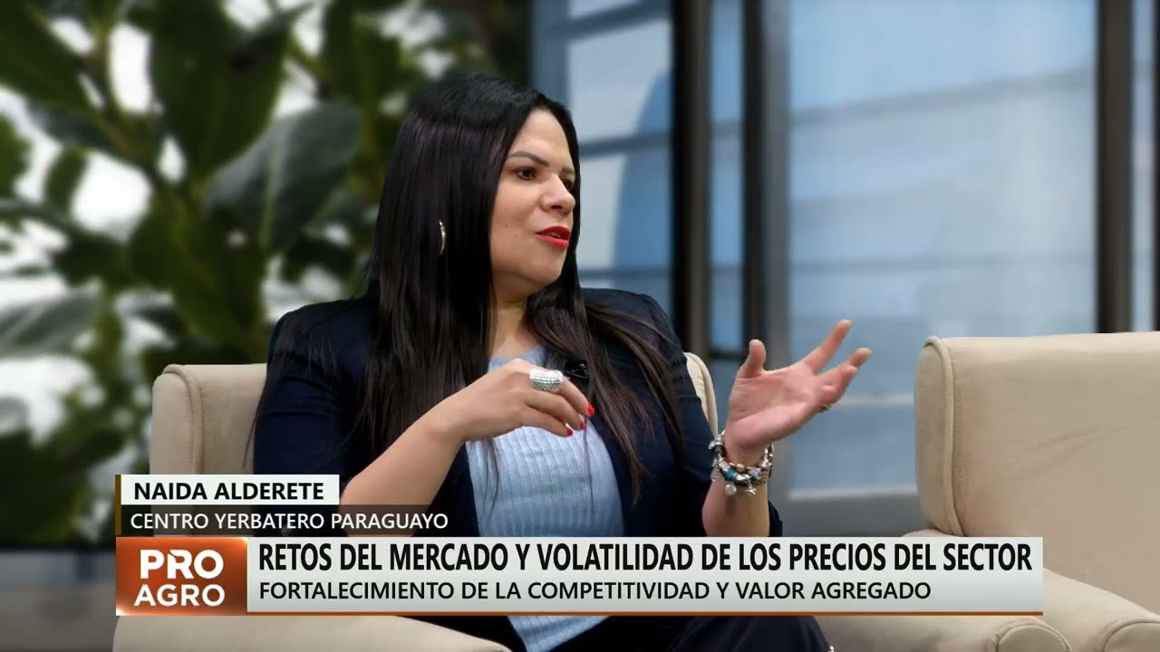 Producción y perspectivas de la yerba mate paraguaya