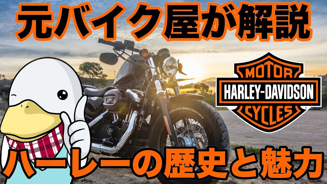 【ハーレー入門】意外と知らない‼︎歴史や楽しみ方まとめ‼︎