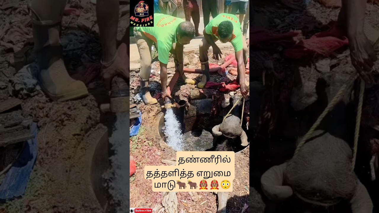 உறை கிணற்றில் விழுந்த எருமை மாடு..🧑🏽&zwj;🚒🐂🐂