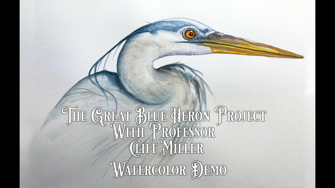 GREAT BLUE HERON  2 WWC DEMO