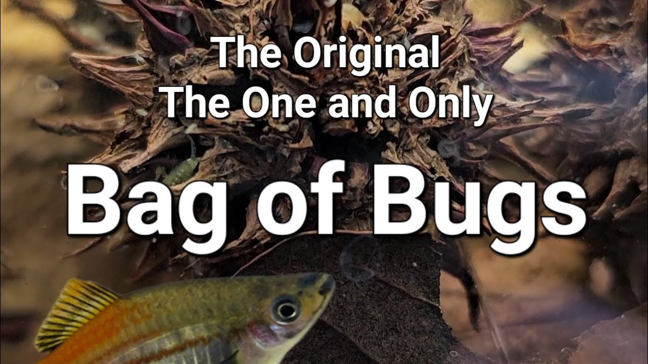 Bag of Bugs - The Original Microfauna Biodiversity Culture