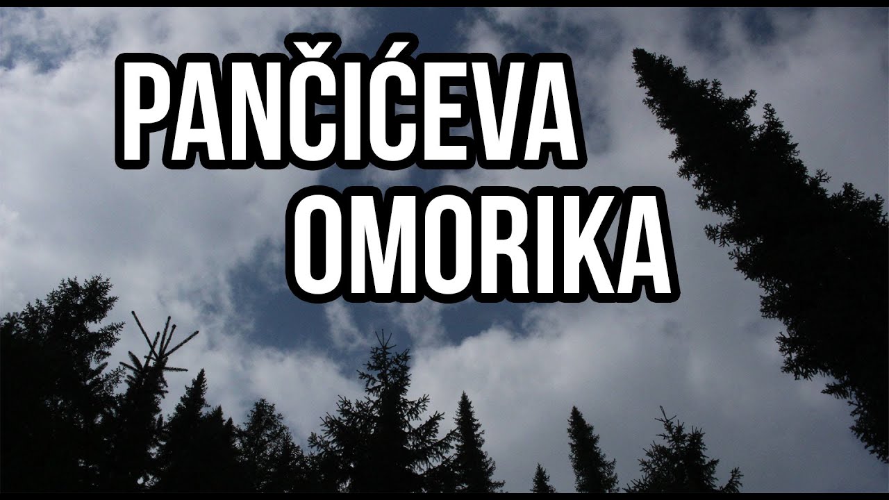 Sačuvajmo Pančićevu omoriku