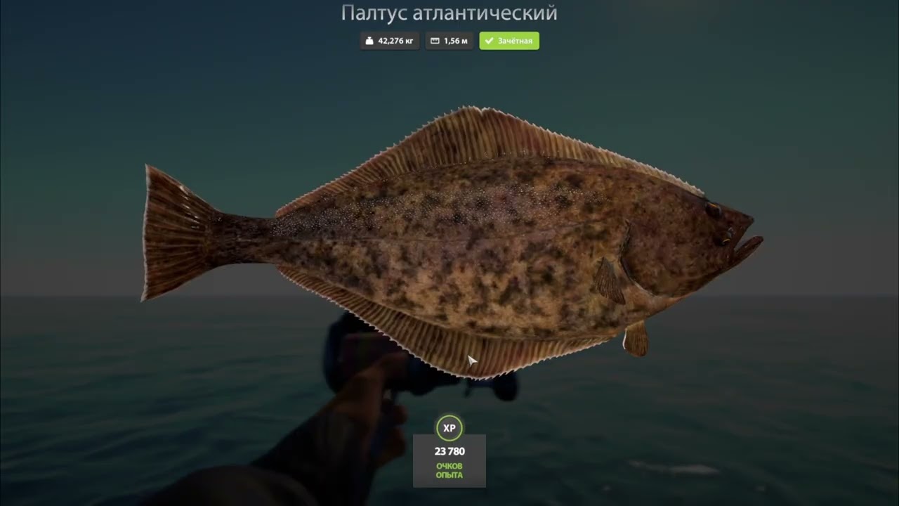 Russian Fishing 4