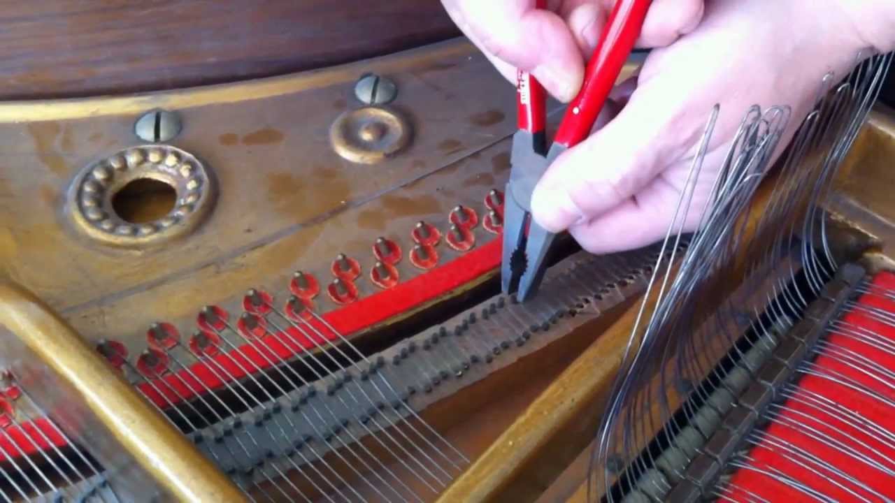 Stegdoppel erneuern