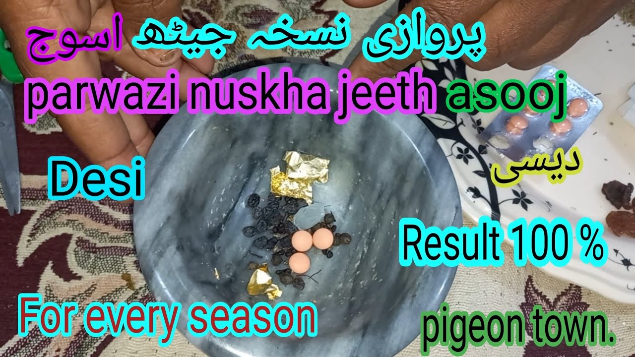 kabootar ki parwaz ka nuskha desi || How to increase pigeons energy || khail pani || pigeon town ||