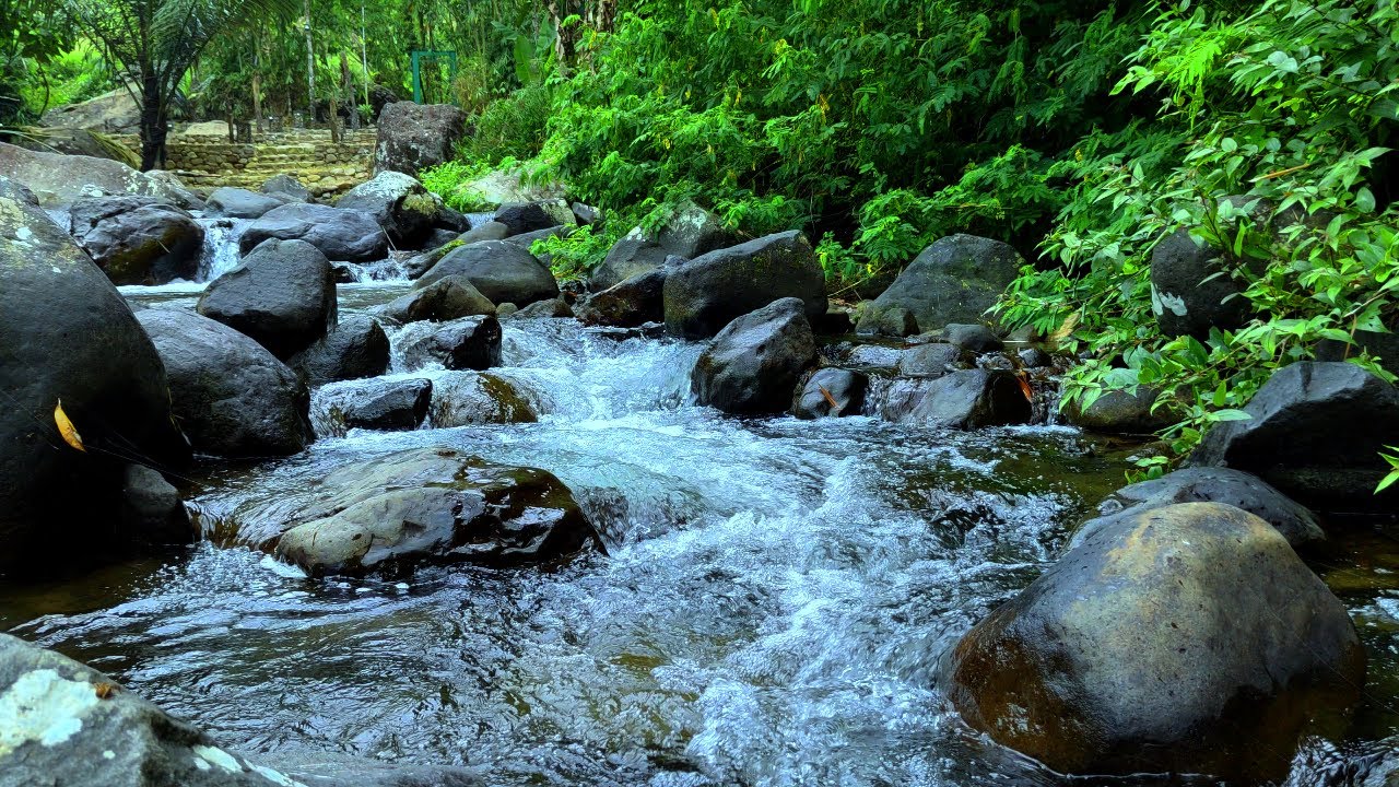 Live Relaxing River Sounds for Deep Sleep 🌊 | No Talking | Nature Ambience