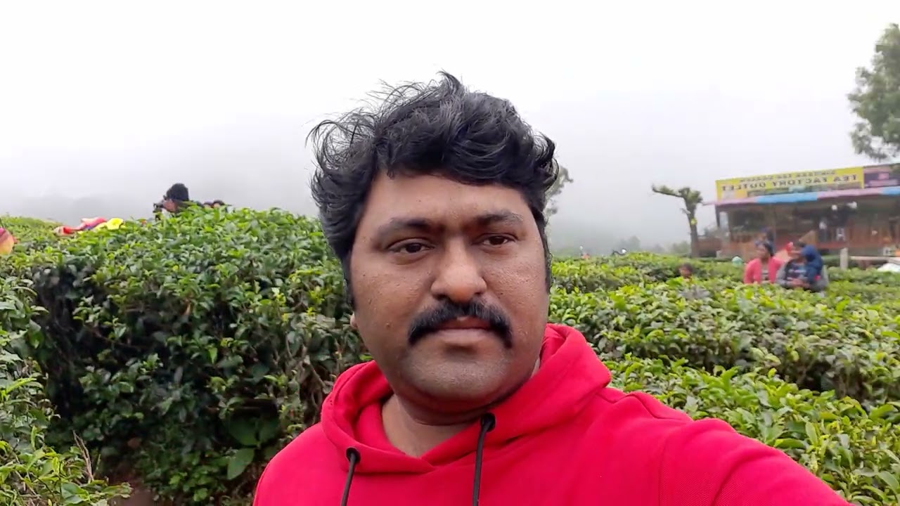Ooty tea estate