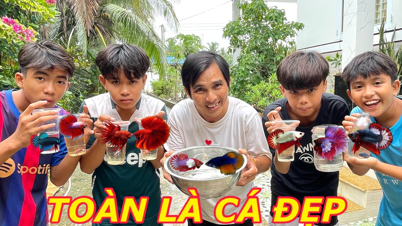 Phát Hiện Cá Lia Thia Cá Betta Siêu Đẹp  Sống Sót Thần Kỳ Sau Những Ngày Nắng Hạn