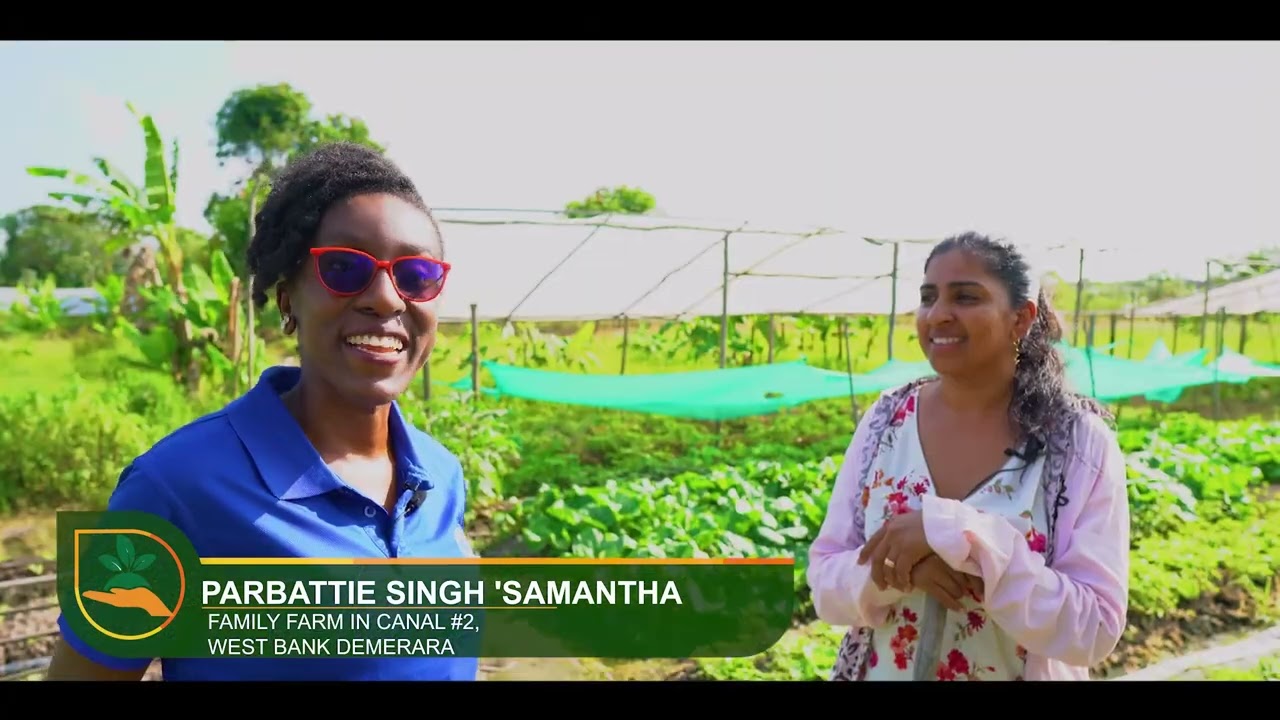 SAC FarmHER Segment -Parbattie Singh 'Samantha in Canal #2, West Bank Demerara 3 Guyana