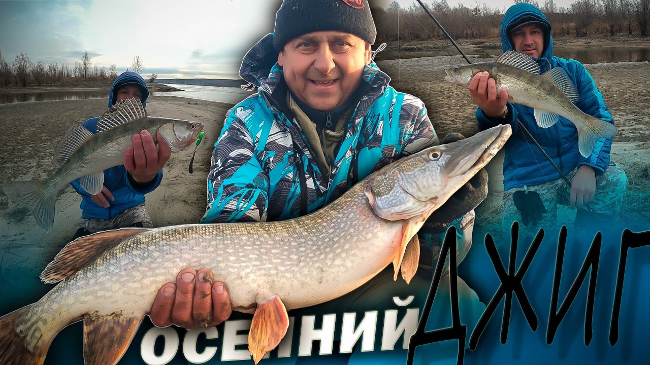 ПРОДОЛЖАЕМ ЗАКРЫВАТЬ СЕЗОН СПИННИНГА /  РЫБАЛКА ПОЗДНЕЙ ОСЕНЬЮ НА ДЖИГ В НОВОСИБИРСКЕ.
