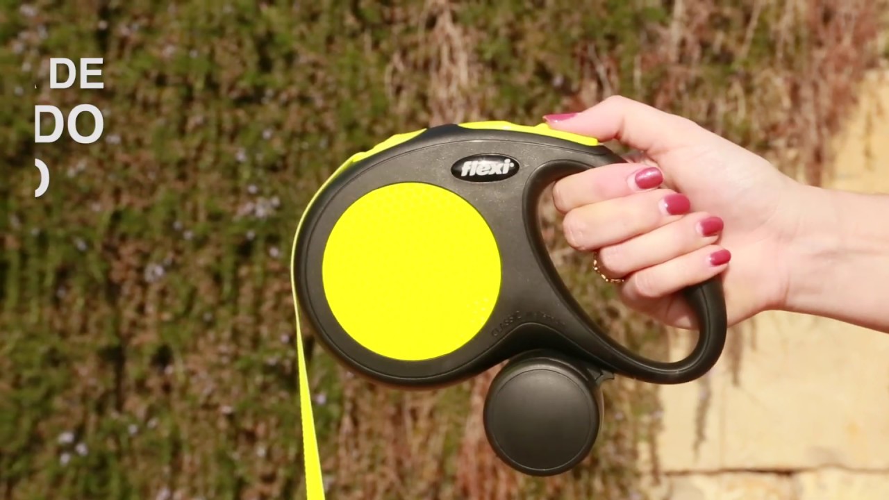 Correas extensibles para perro Flexi - Tiendanimal