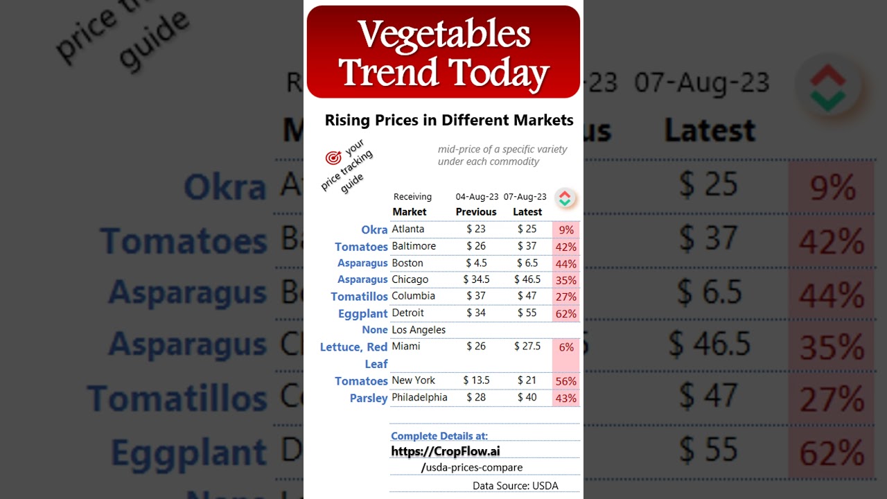 How much vegetables cost more today? | Daily Price Trend