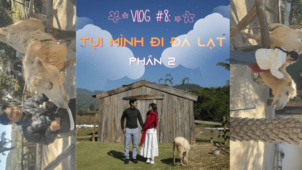 VLOG#8: TỤI MÌNH ĐI ĐÀ LẠT (PHẦN 2)  // 12.2025