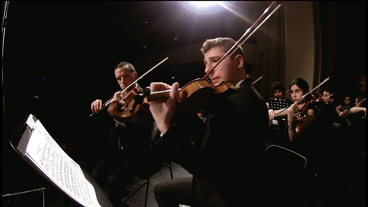SYMPHONY № 5, MOV. II, P. Tchaikovsky ✩ Orchestra Senzaspine