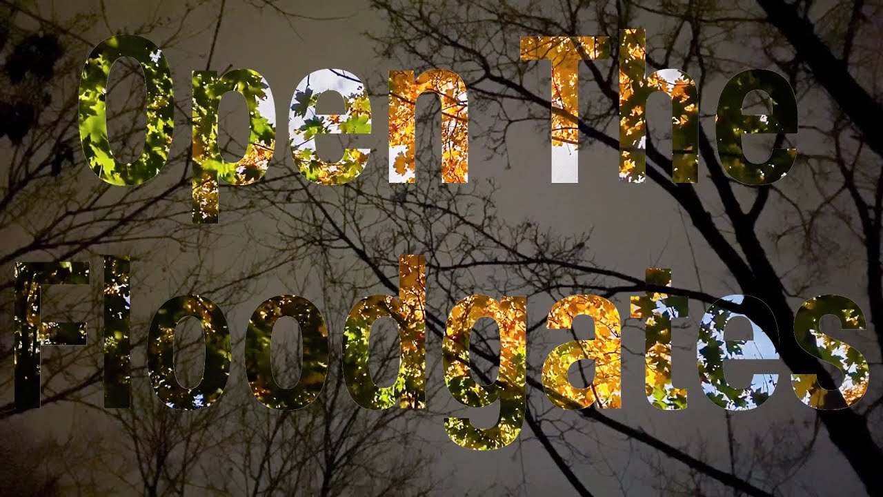 My cover of Open The Floodgates by The Smile (odd dreamy version)