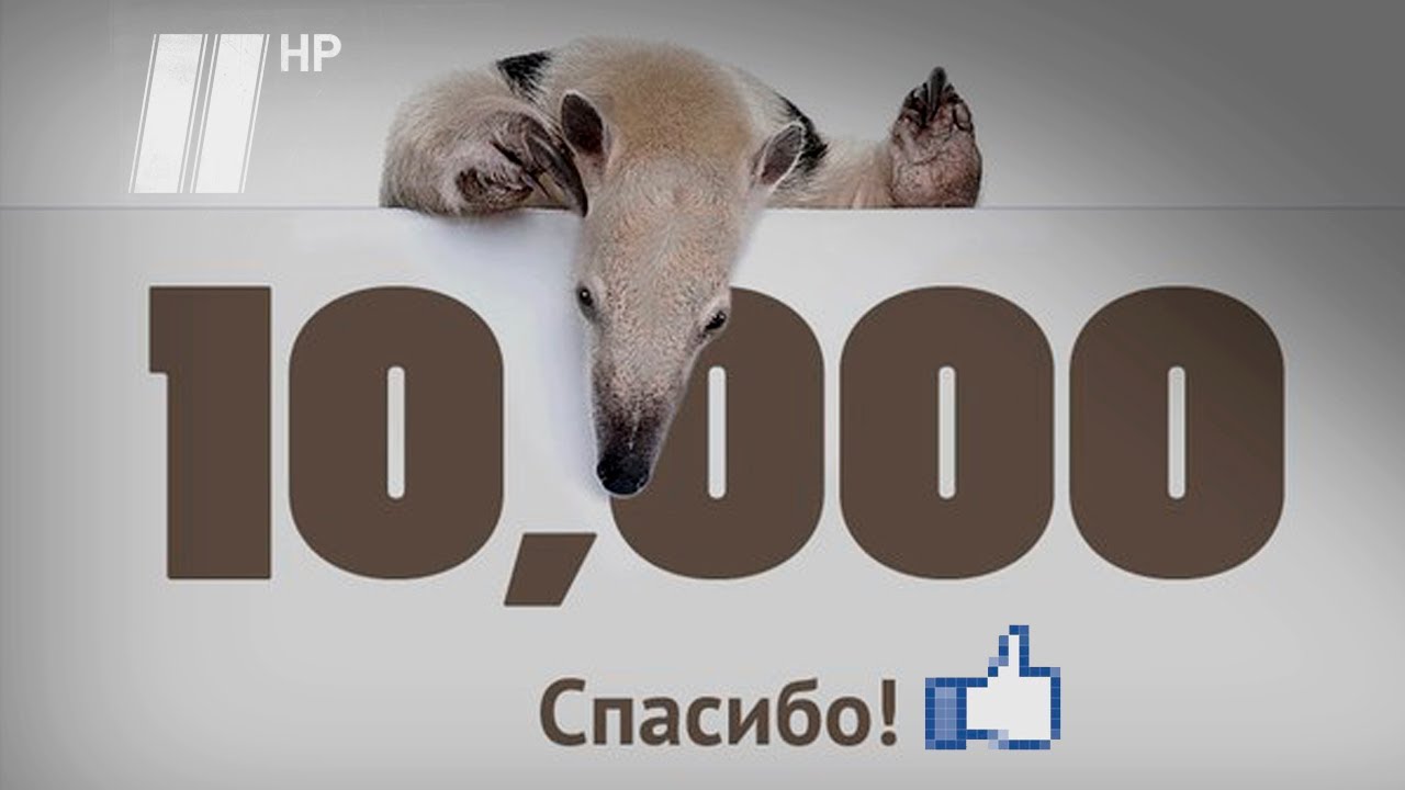 /10000 Подписчиков/ Но, это только начало...