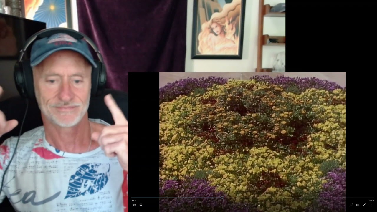 Only Yesterday (The Carpenters) reaction