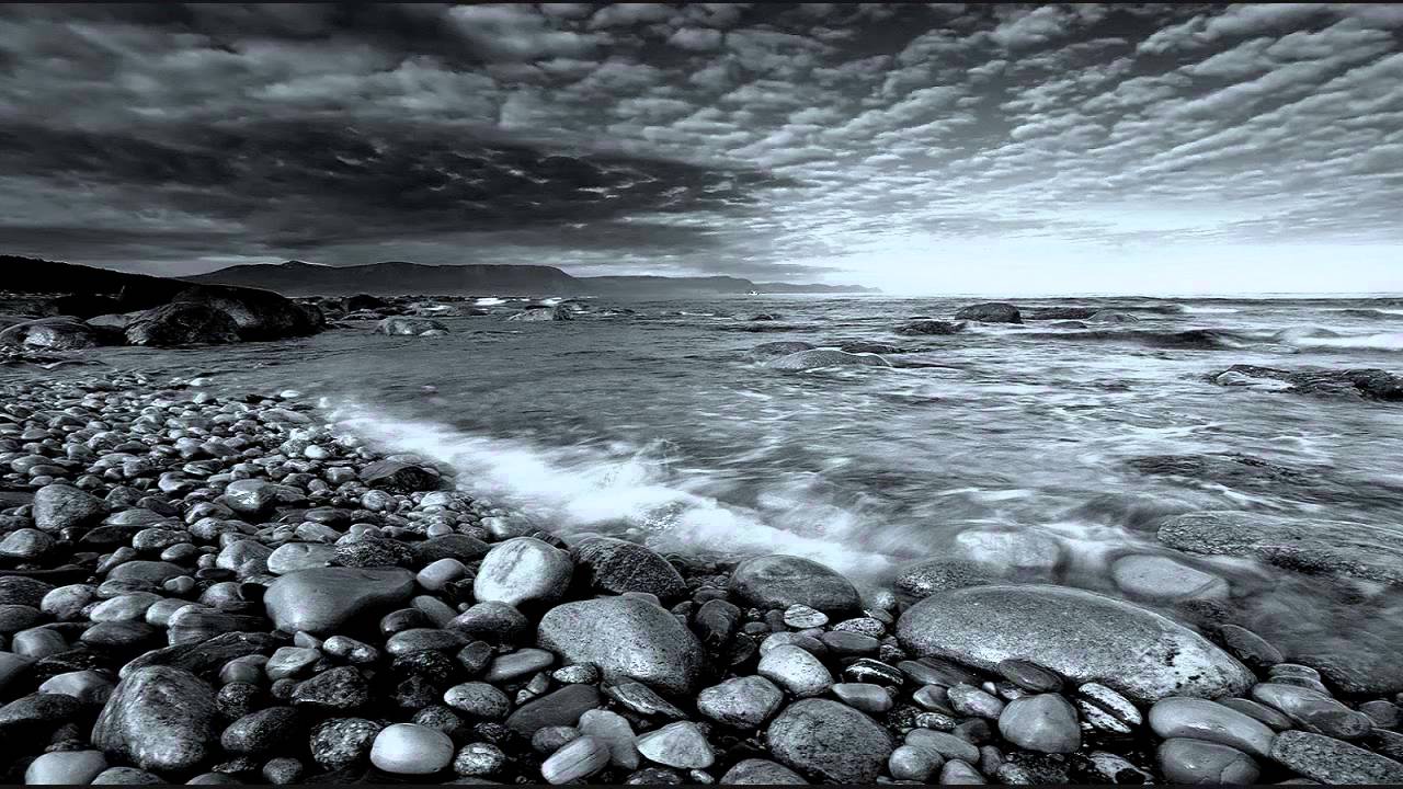 Purple Penguin -  Tribhuwan (Himalayan Dub)