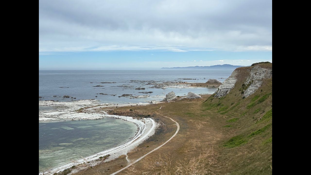 Kaikoura - the Seal Colony
