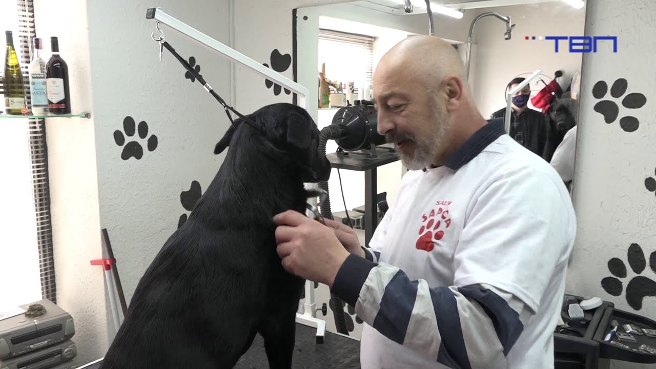 RTV Pancevo - frizer za pse Milenko Avramov, 11.3.2021.