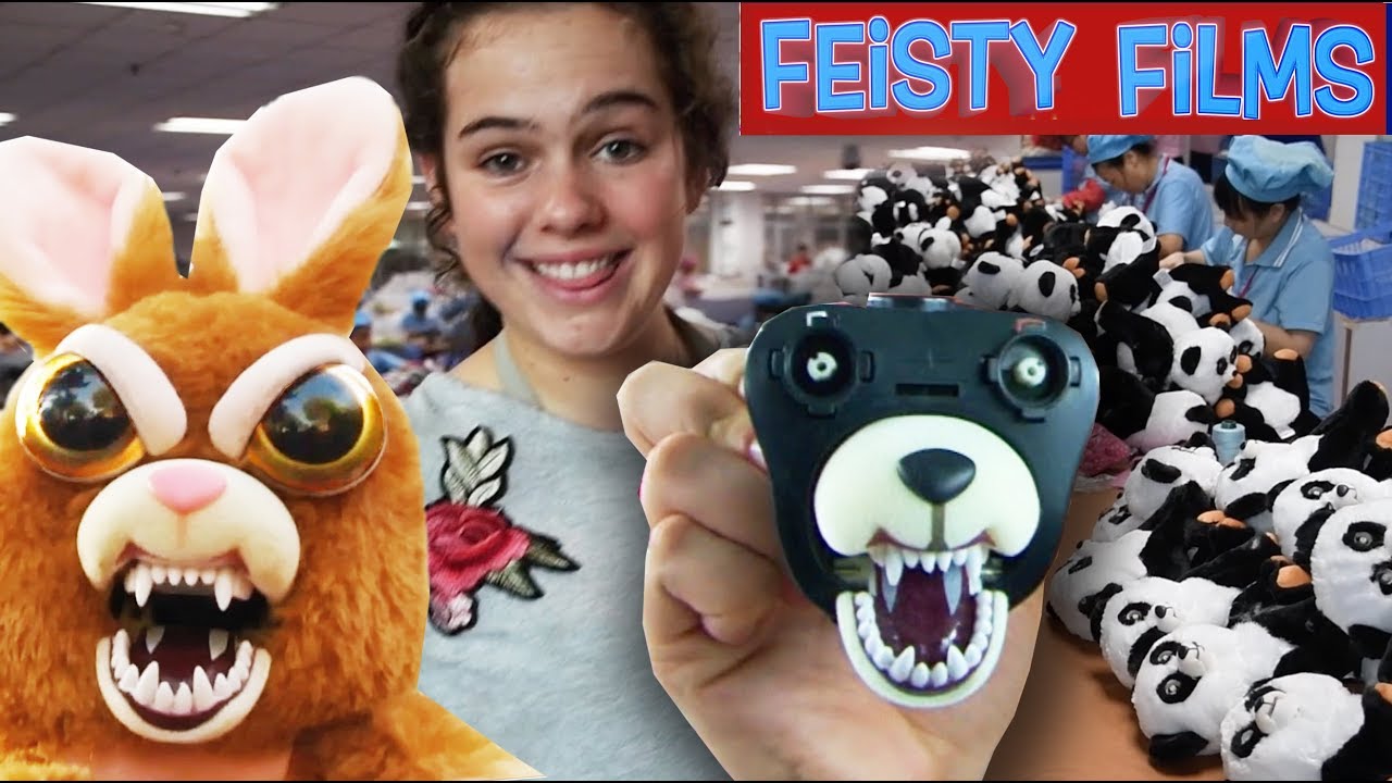 Как появляются энергичные питомцы! Путешествие в Китай!