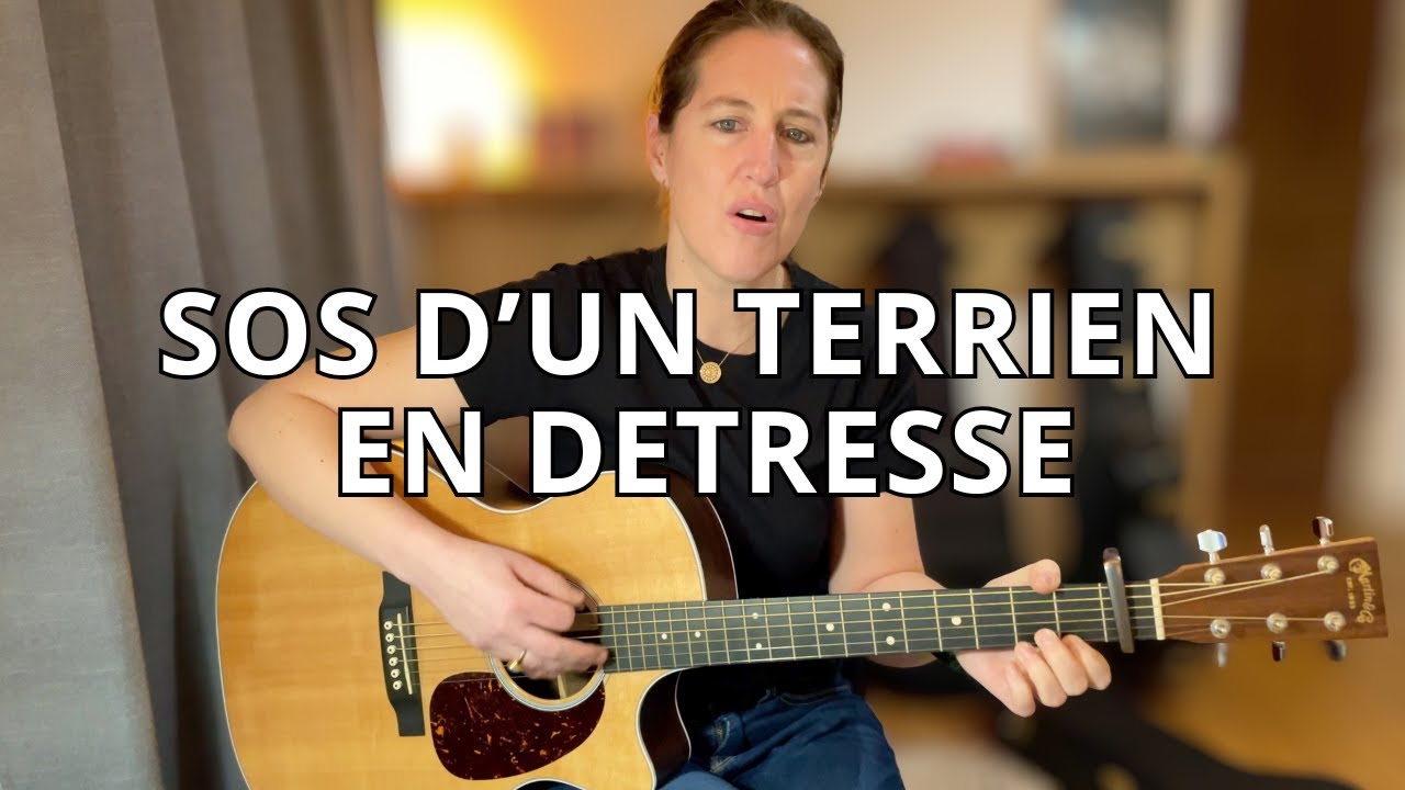 Sos d'un terrien en détresse - guitare cover - avec accords