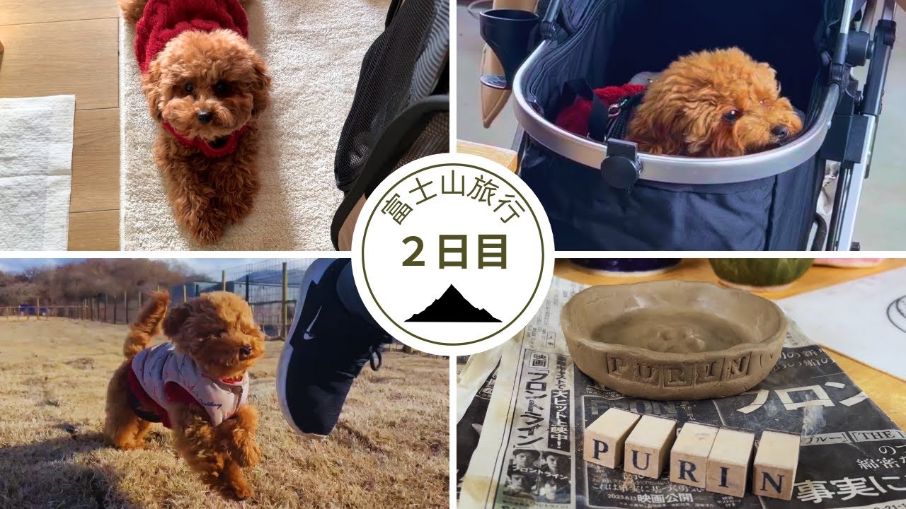 【世界に一つ】愛犬の足跡を残す陶芸体験！富士山が見えたり隠れたり…翻弄される子犬の休日