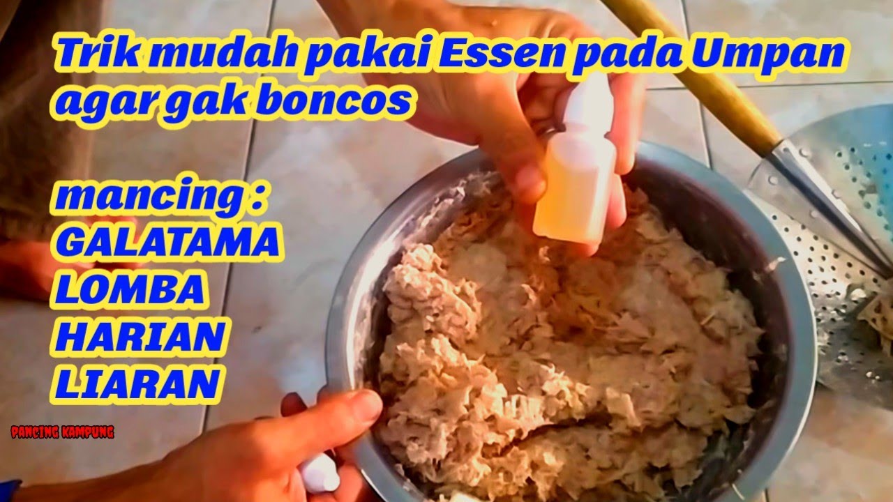 Cara mudah memakai Essen pada umpan anti boncos. Mancing Galatama, lomba, harian