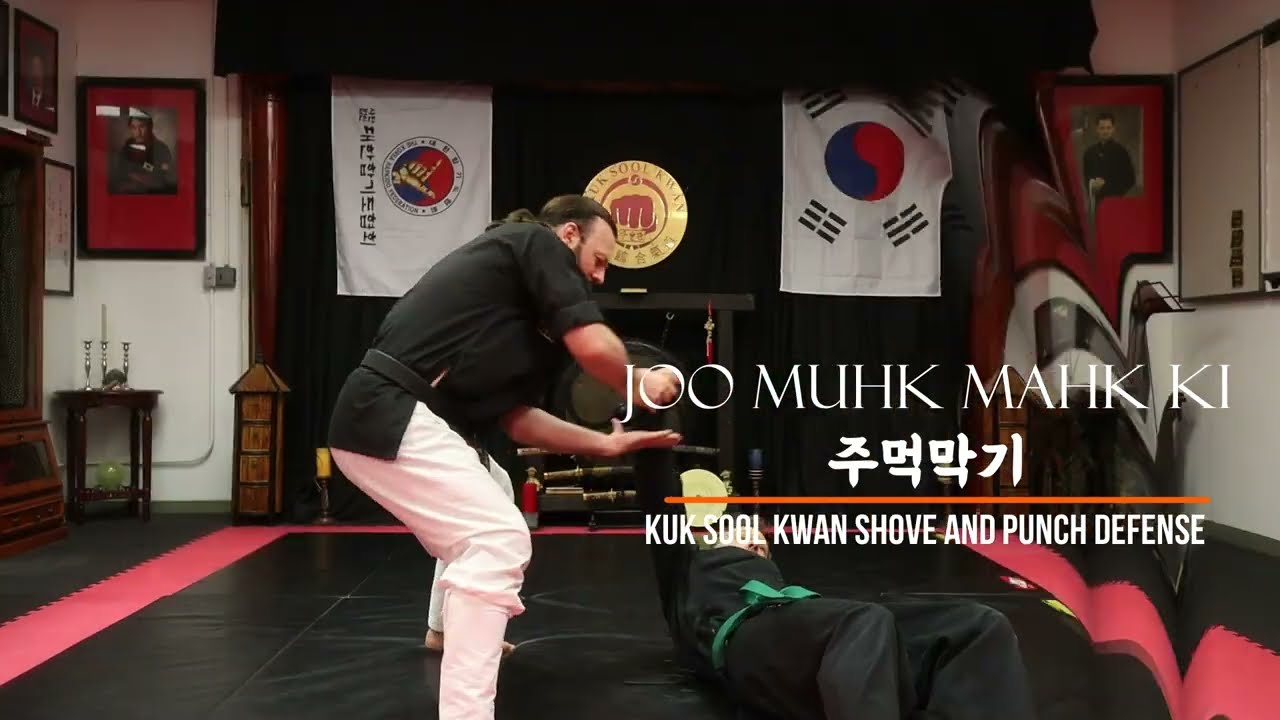 Hapkido/Aikido Punch Defense Against Boxing and MMA: Kuk Sool Kwan Hapkido's Joo Muhk Mahk Ki 1-15