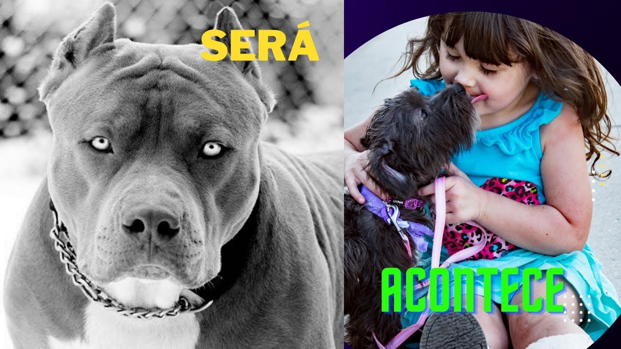 Como ACOSTUMAR um CACHORRO FILHOTE a ficar SOZINHO VS Educar