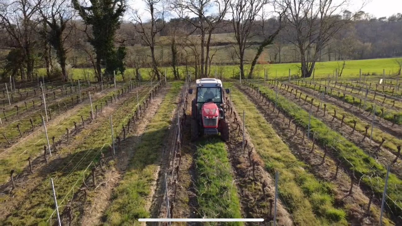 Broyage des sarments avec le MF3707, premier plan au drone!!! #masseyferguson #viticulture 