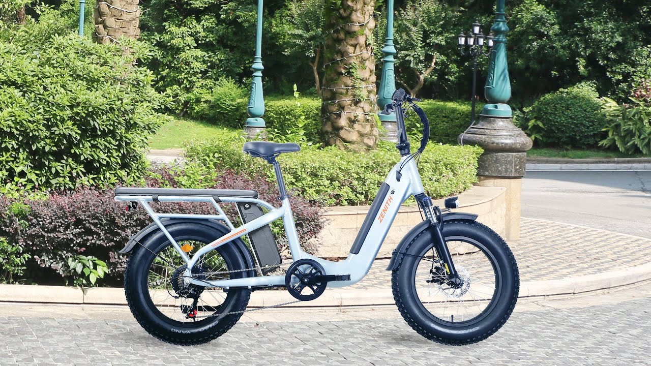 Saneagle Electric Bike Series |ZNH-E-2402