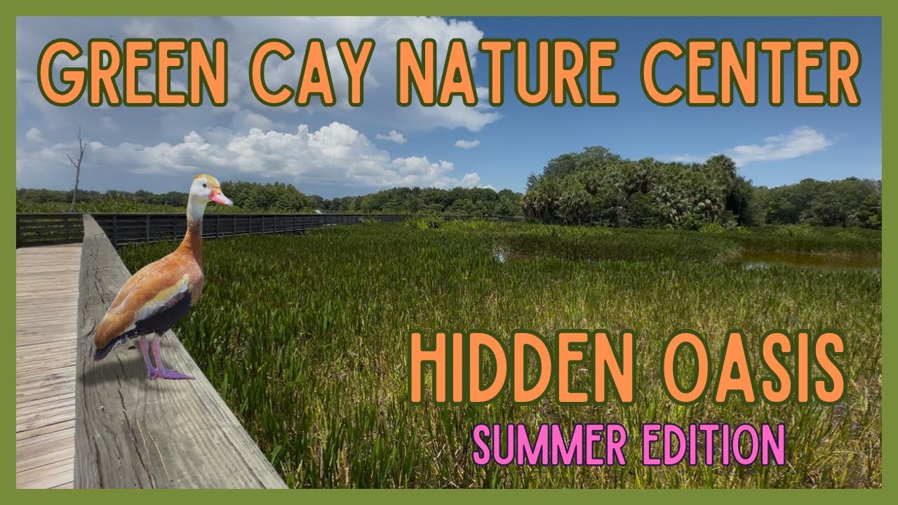 Green Cay in July | Florida’s Hidden Wetland Oasis