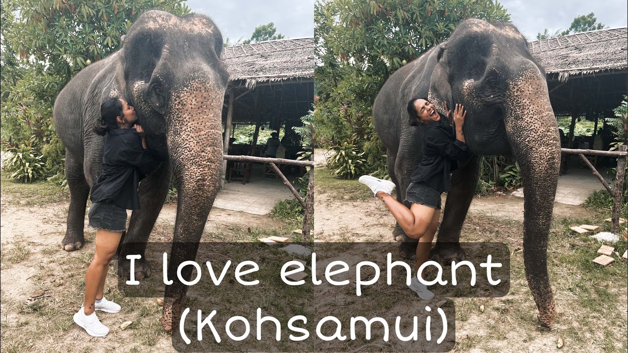 I Love Elephant ||Travel with me ||Kohsamui ||Anupama Anandkumar#anupama #solo#thailand #travelvlog