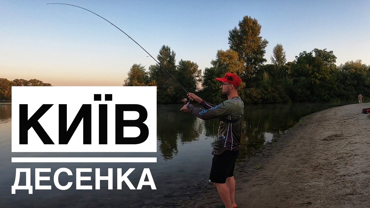 Рибалимо в межах Києва. Спіннігова, джигова риболовля на Десенці (Черторої) в Києві.