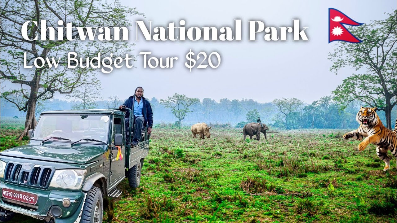 Dangerous Jungle In Nepal// Life in The Chitwan National park // Full Information My First Safari