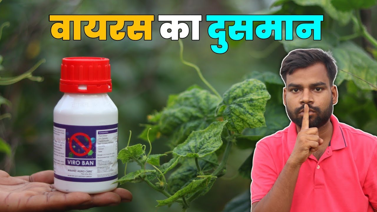 अब Viro Ban से होगा वायरस कंट्रोल | किसी को बताना मत 🤫