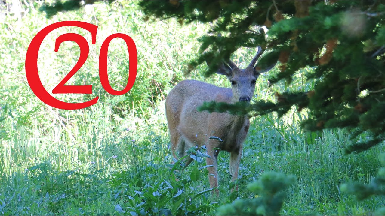 Backpacking in – Pre-season Work EP 2