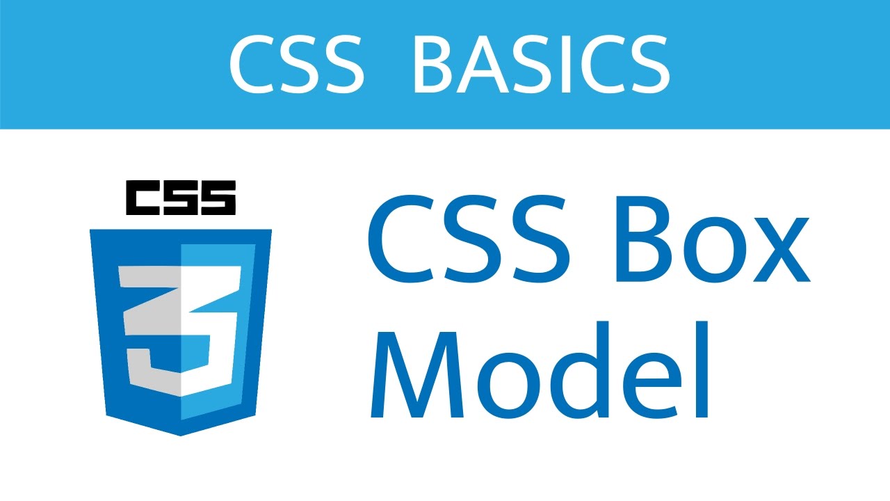The CSS Box Model // CSS Basics