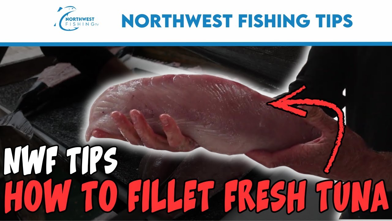 How to Fillet Canadian Albacore Tuna | Northwest Fishing Tips